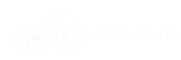 chatgpt image sep 14, 2026, 11 27 05 pm photoroom